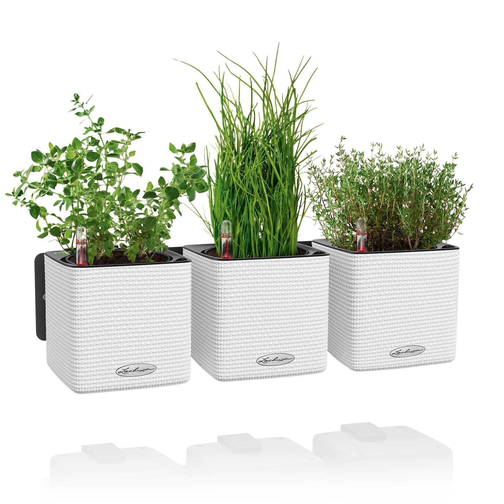 Green Wall Home Kit Color white